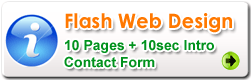 Flash Web Design Packages
