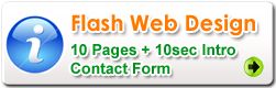 Flash web design services by expert animators