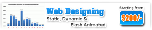 Small Business Web Design